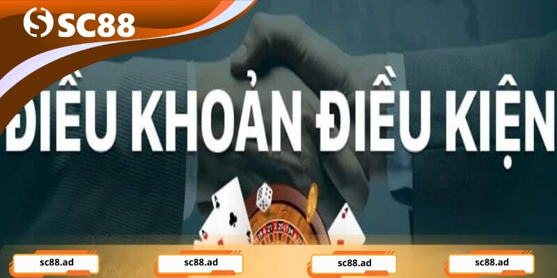 Về điều khoản và điều kiện tại sc88.com