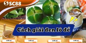 Cách Xả Xui Trong Lô Đề Hiệu Quả Nhanh Chóng - SC88 AD